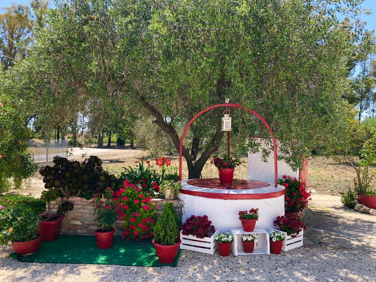 Cenzina Bed & Breakfast