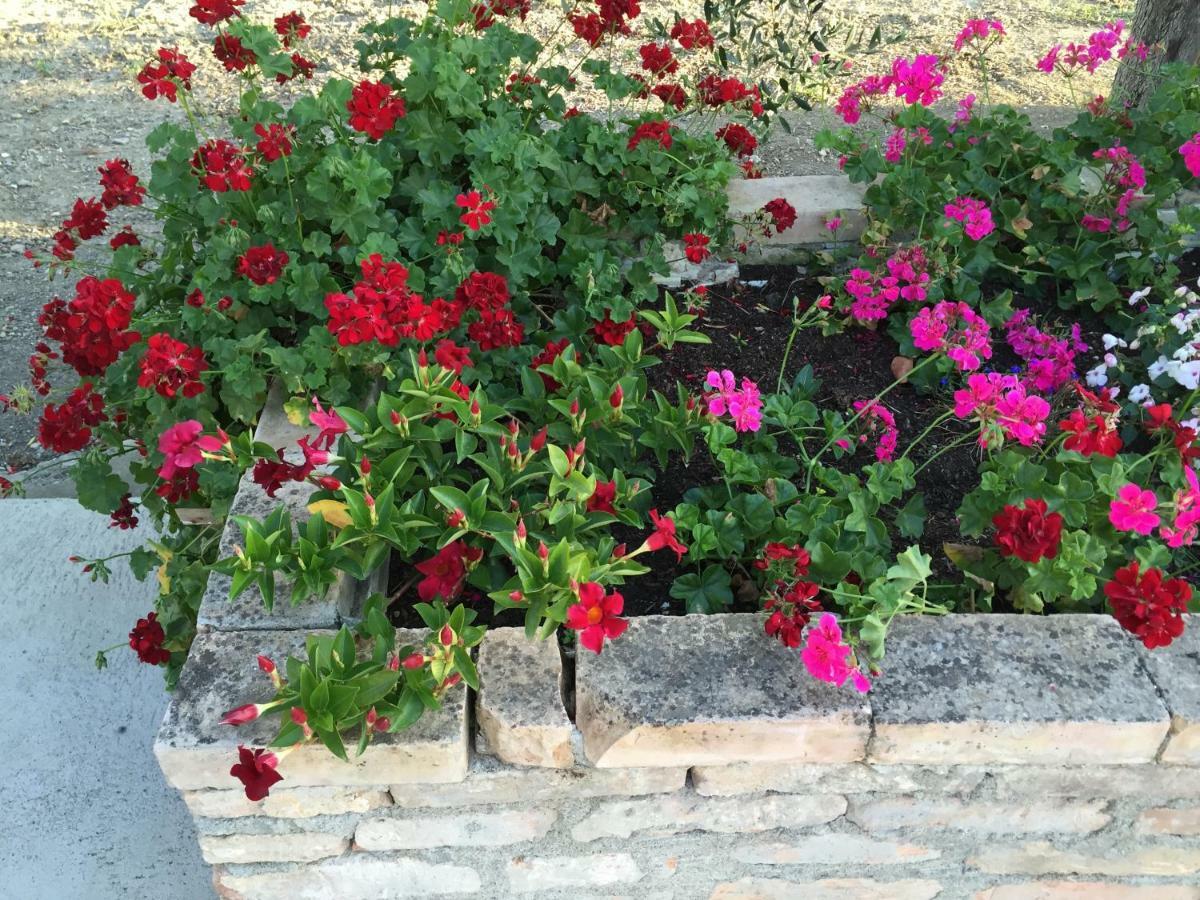 Cenzina Bed & Breakfast Marina Di Pisticci