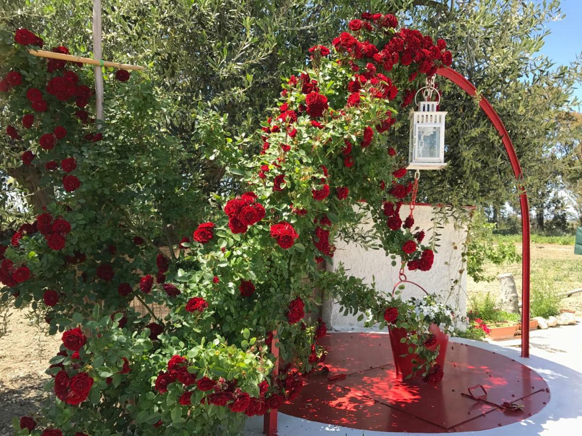 Cenzina Bed & Breakfast *