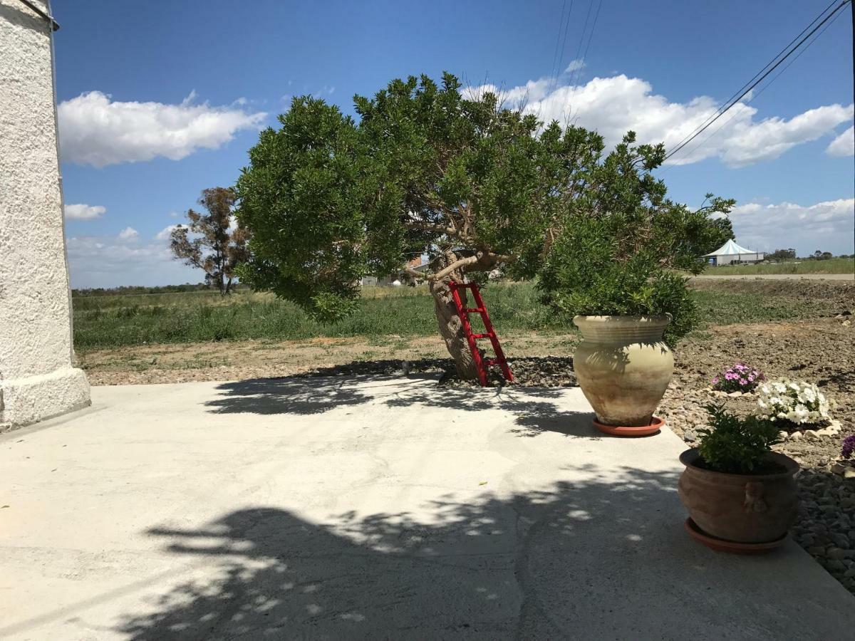 Cenzina * Marina Di Pisticci